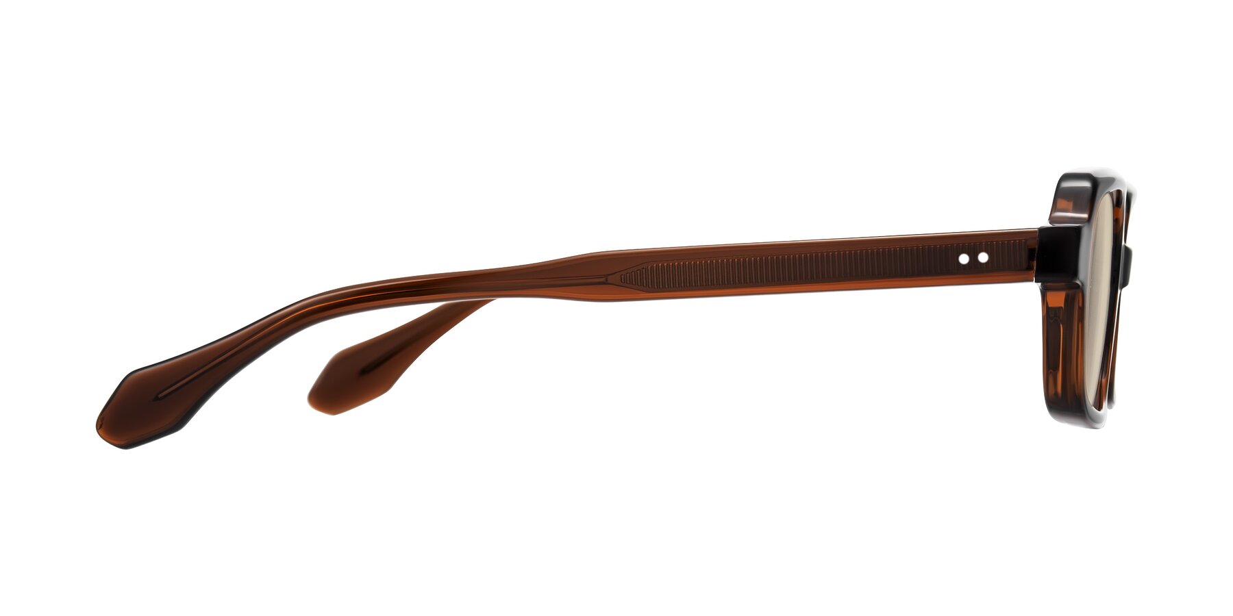 Side of Perkis in Dark Brown with Light Brown Tinted Lenses