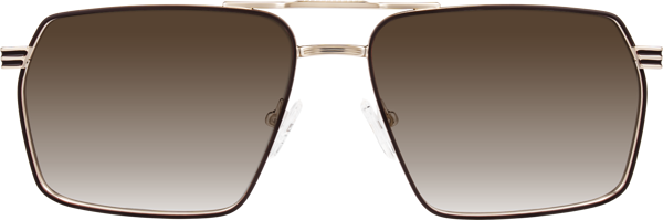 Bornze Gradient Gold/Tortoise Metals Double Bridge Square Gradient Sunglasses with ...
