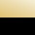 Gold/Black