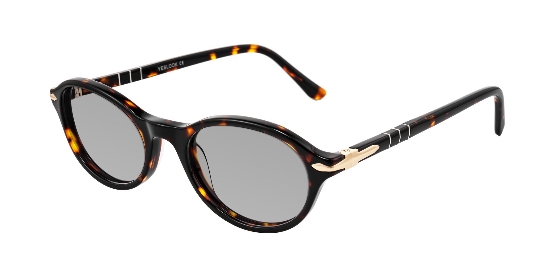 Angle of Sidriah in Tortoise with Light Gray Tinted Lenses