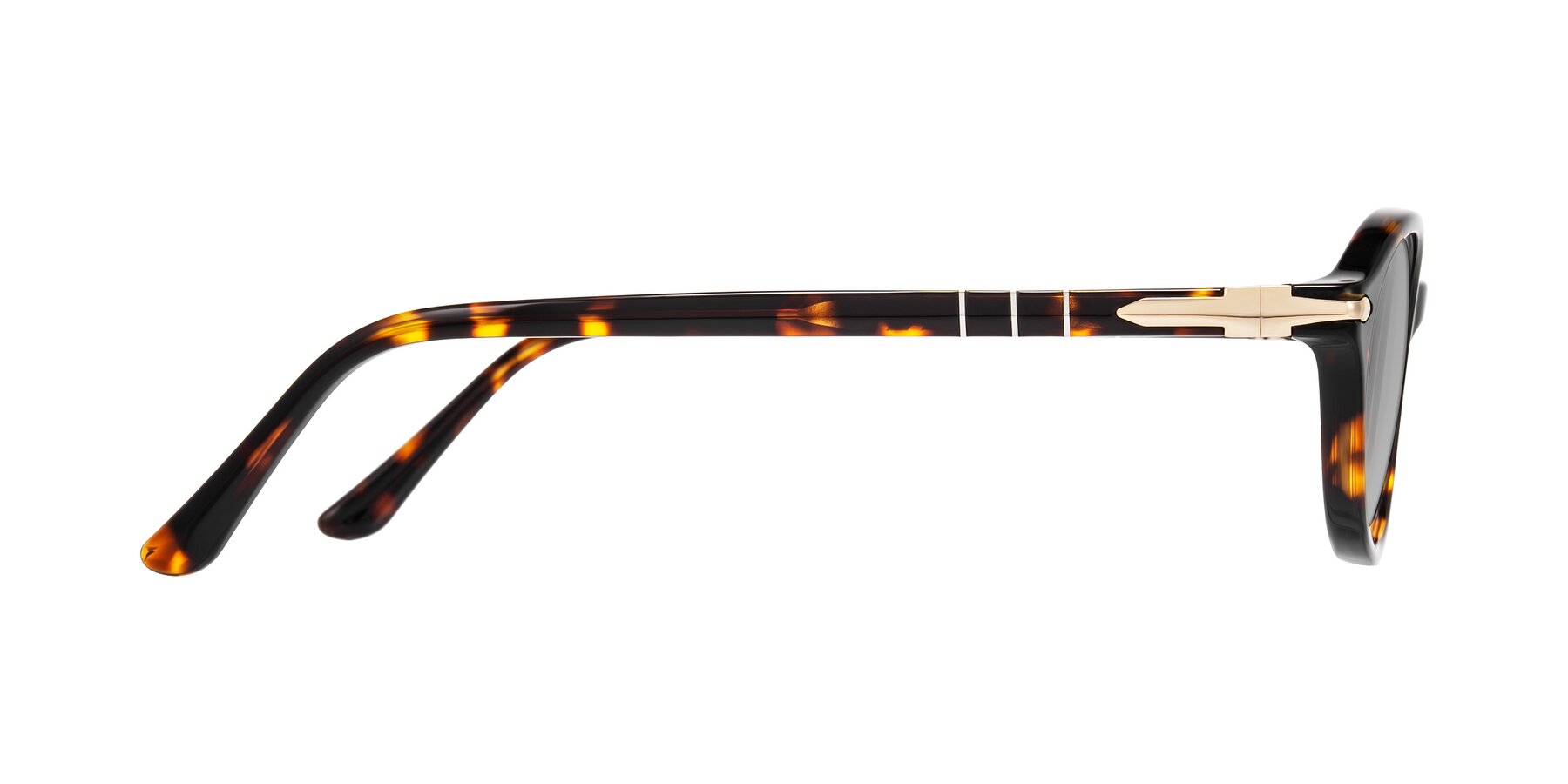 Side of Sidriah in Tortoise with Light Gray Tinted Lenses