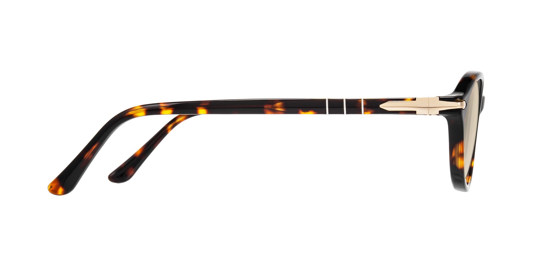 Side of Sidriah in Tortoise with Light Brown Tinted Lenses