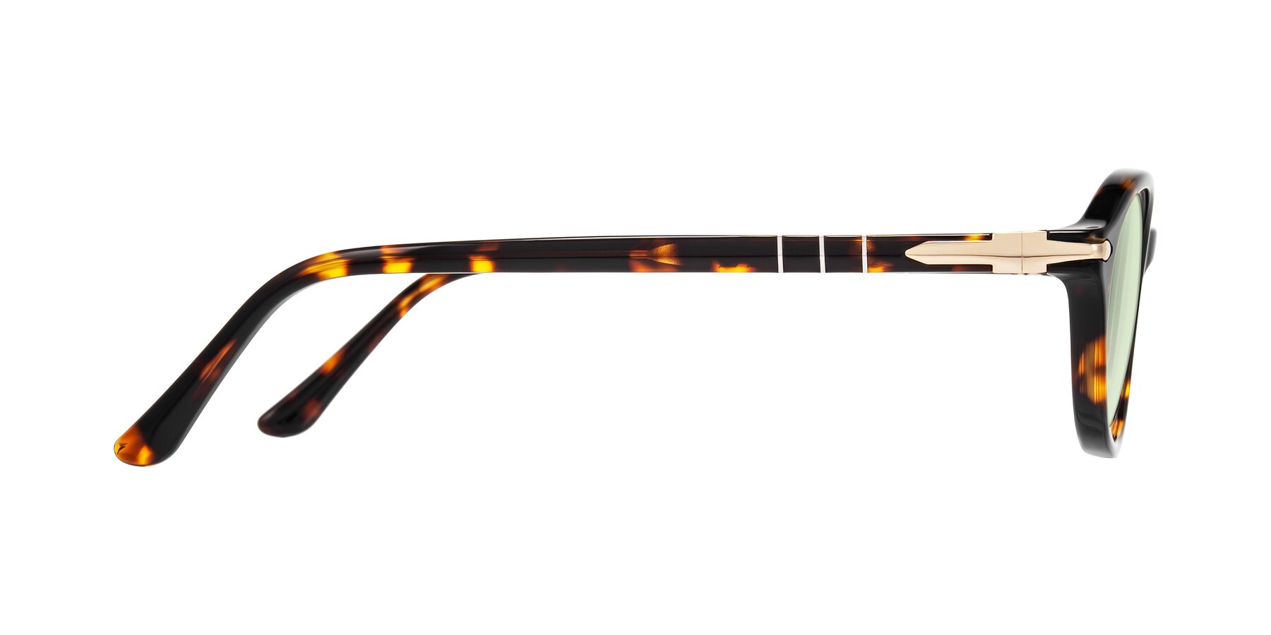 Side of Sidriah in Tortoise with Light Green Tinted Lenses