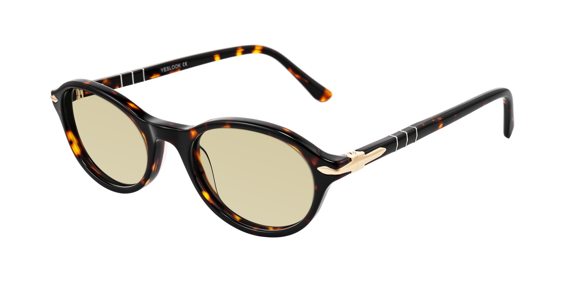 Angle of Sidriah in Tortoise with Light Champagne Tinted Lenses