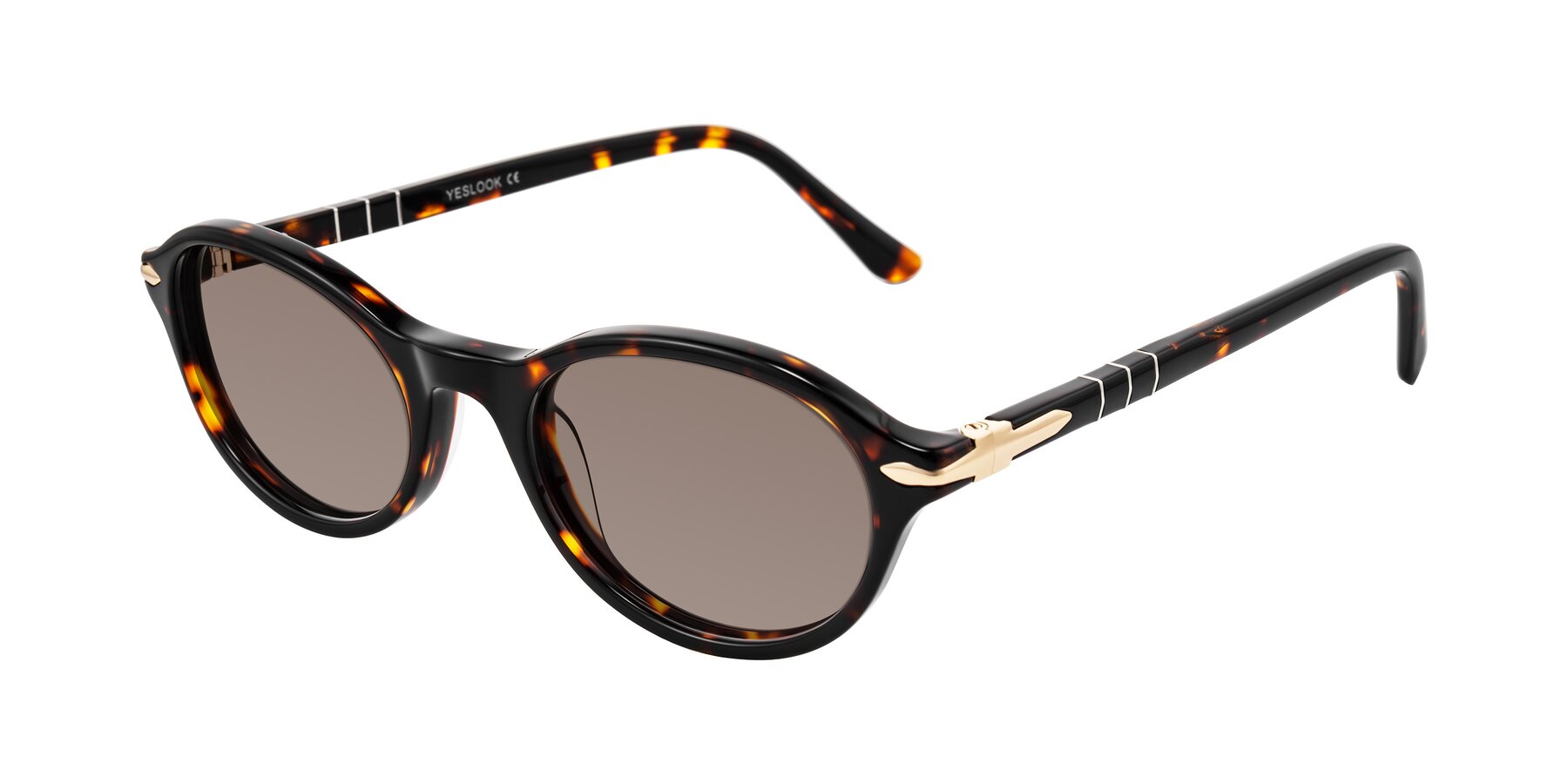 Angle of Sidriah in Tortoise with Medium Brown Tinted Lenses