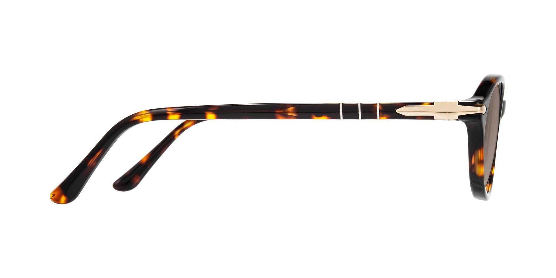 Side of Sidriah in Tortoise with Medium Brown Tinted Lenses