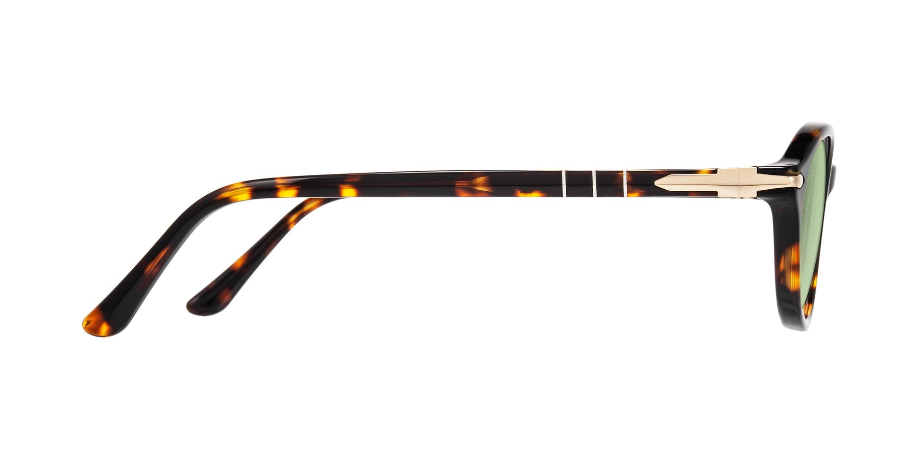 Side of Sidriah in Tortoise with Medium Green Tinted Lenses