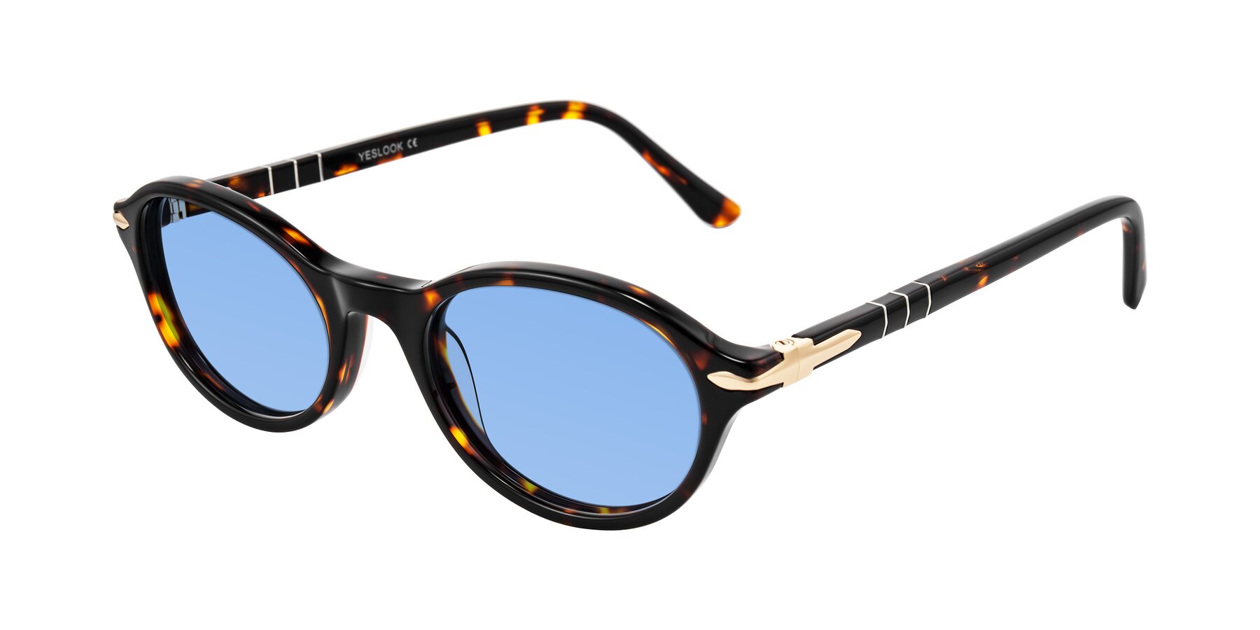 Angle of Sidriah in Tortoise with Medium Blue Tinted Lenses