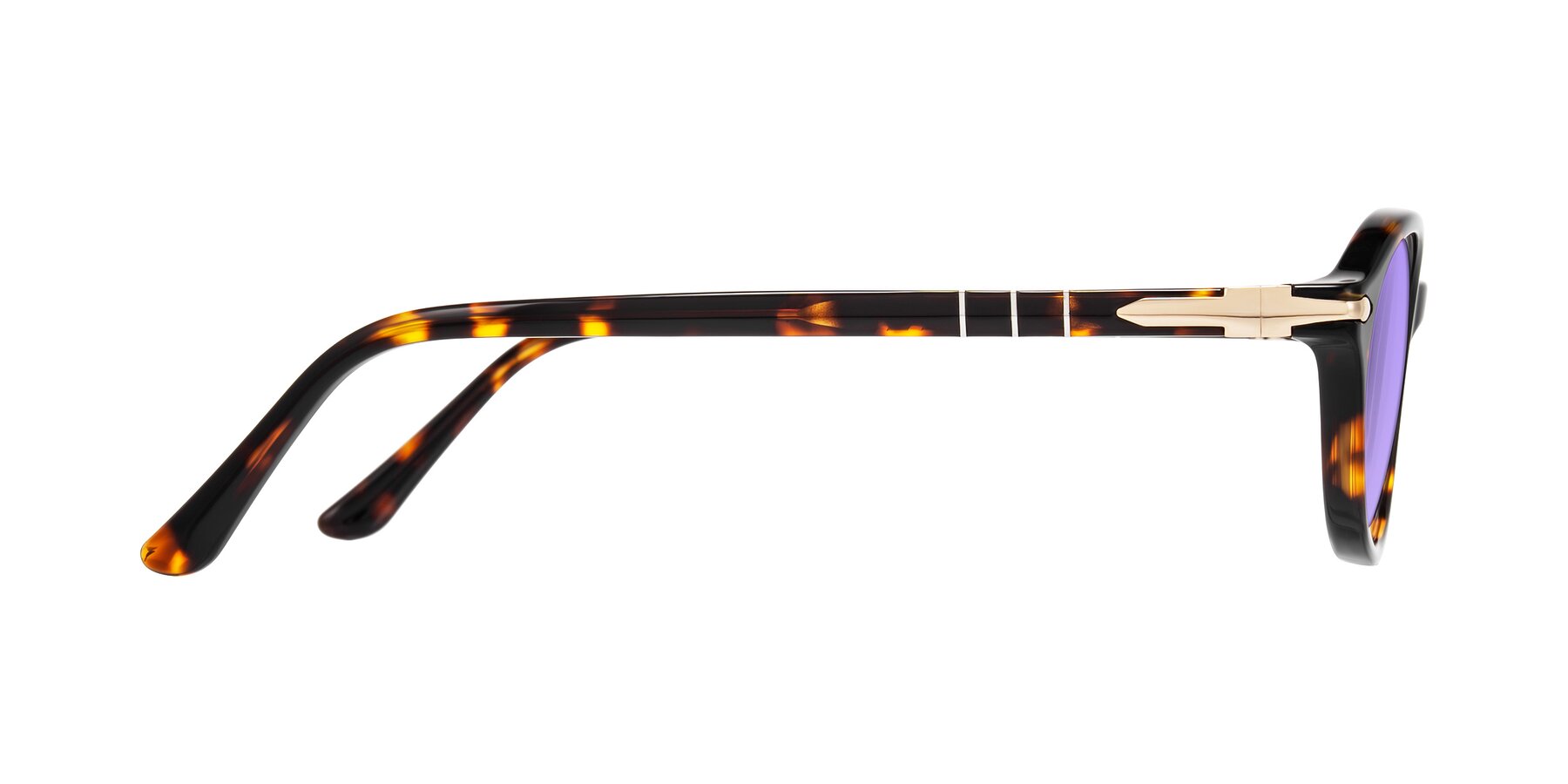 Side of Sidriah in Tortoise with Medium Purple Tinted Lenses