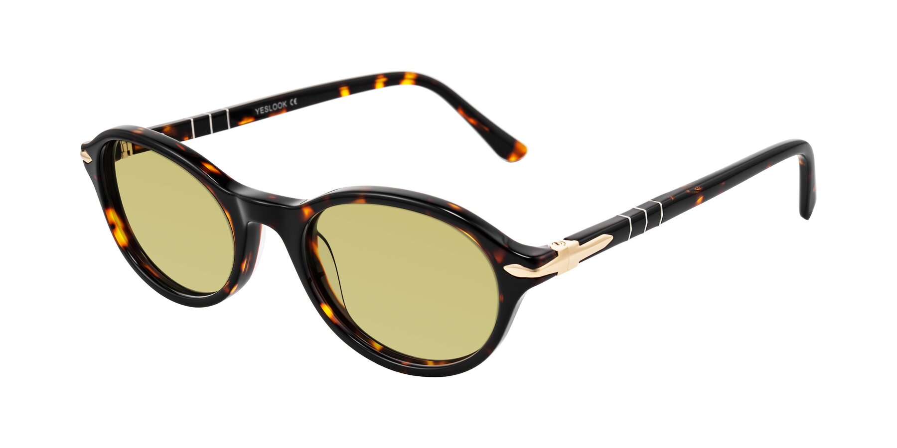 Angle of Sidriah in Tortoise with Medium Champagne Tinted Lenses