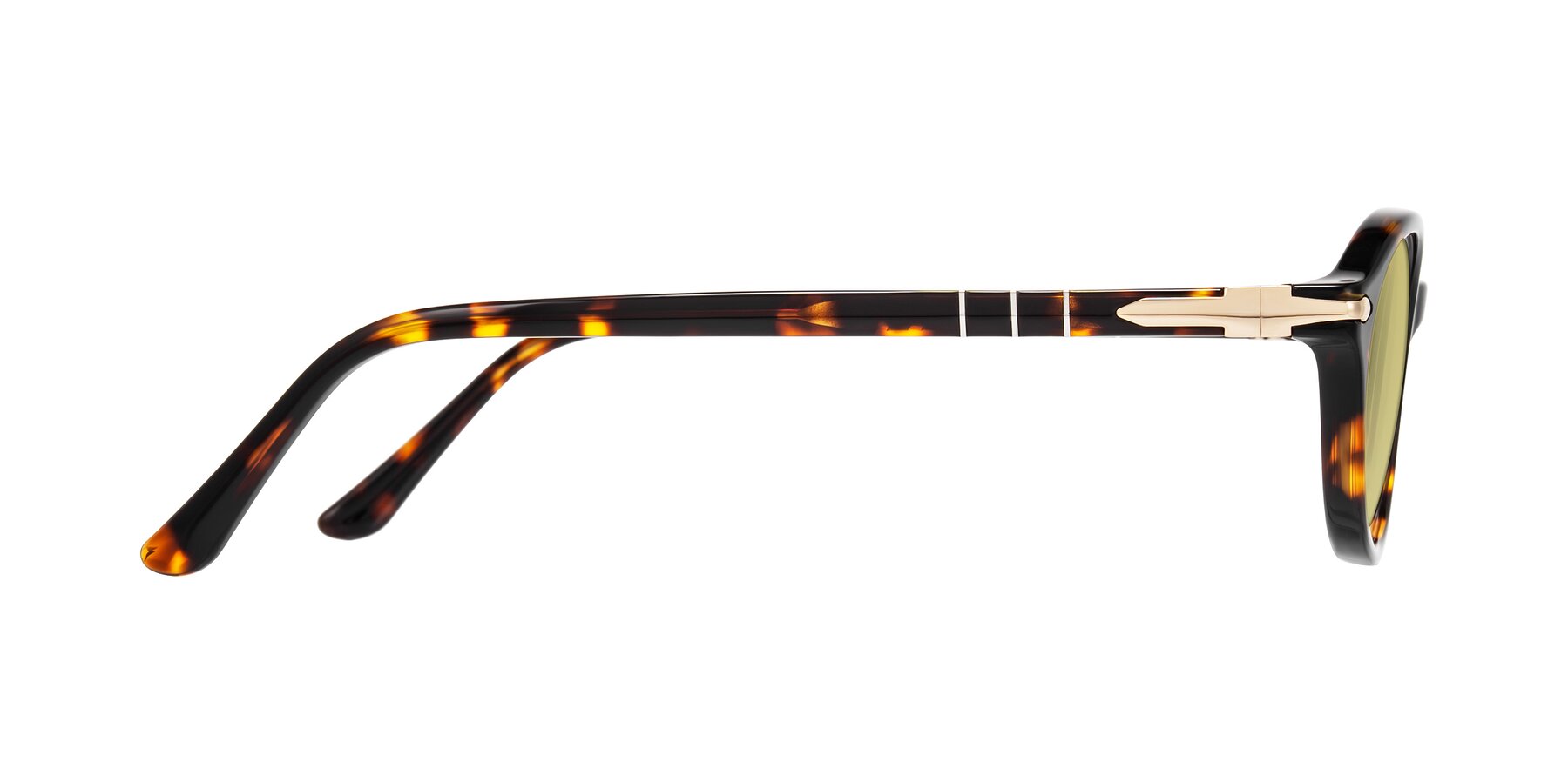 Side of Sidriah in Tortoise with Medium Champagne Tinted Lenses