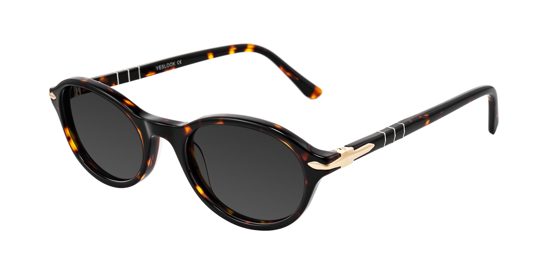 Angle of Sidriah in Tortoise with Gray Tinted Lenses
