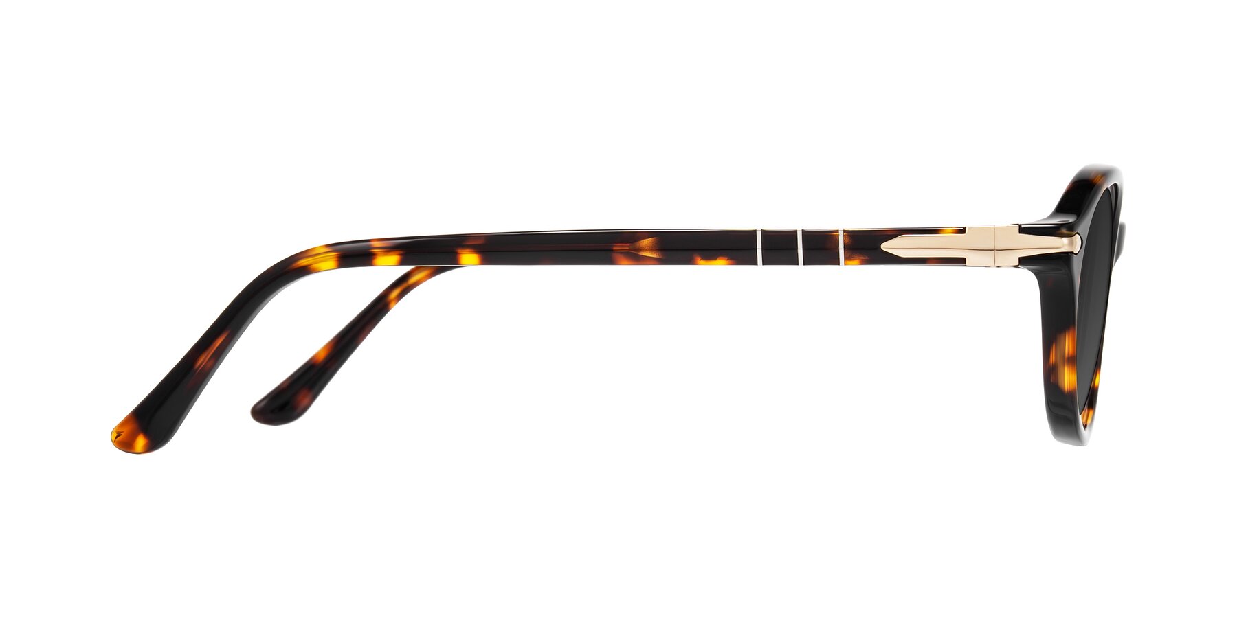 Side of Sidriah in Tortoise with Gray Tinted Lenses