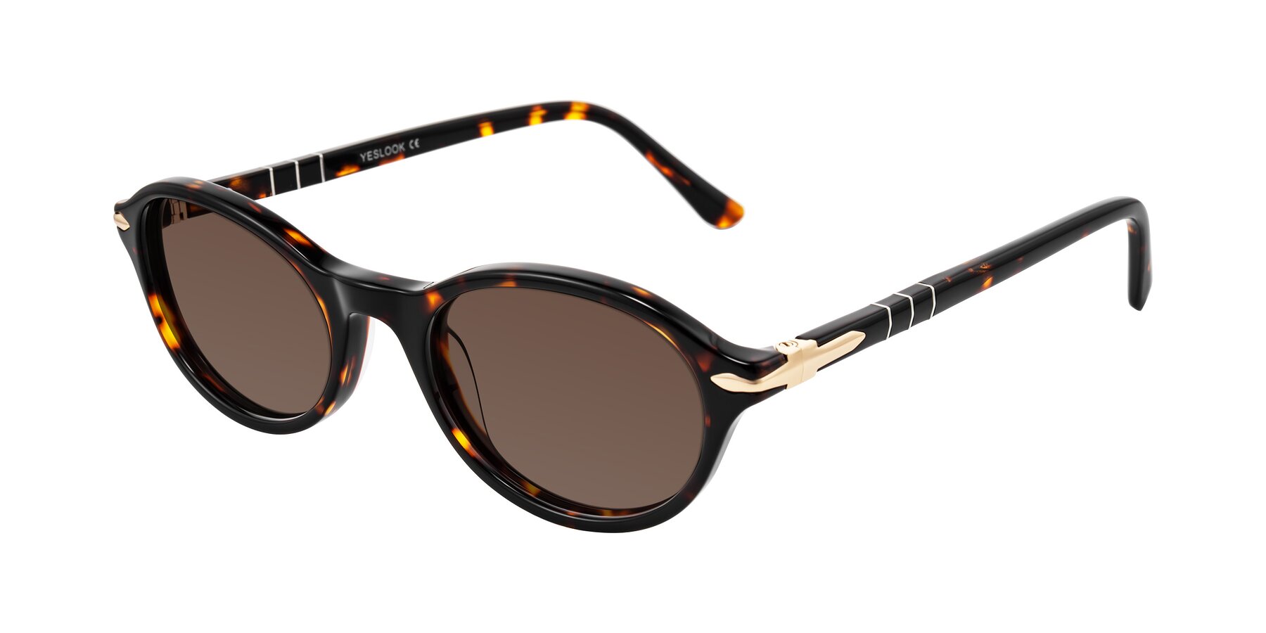Angle of Sidriah in Tortoise with Brown Tinted Lenses