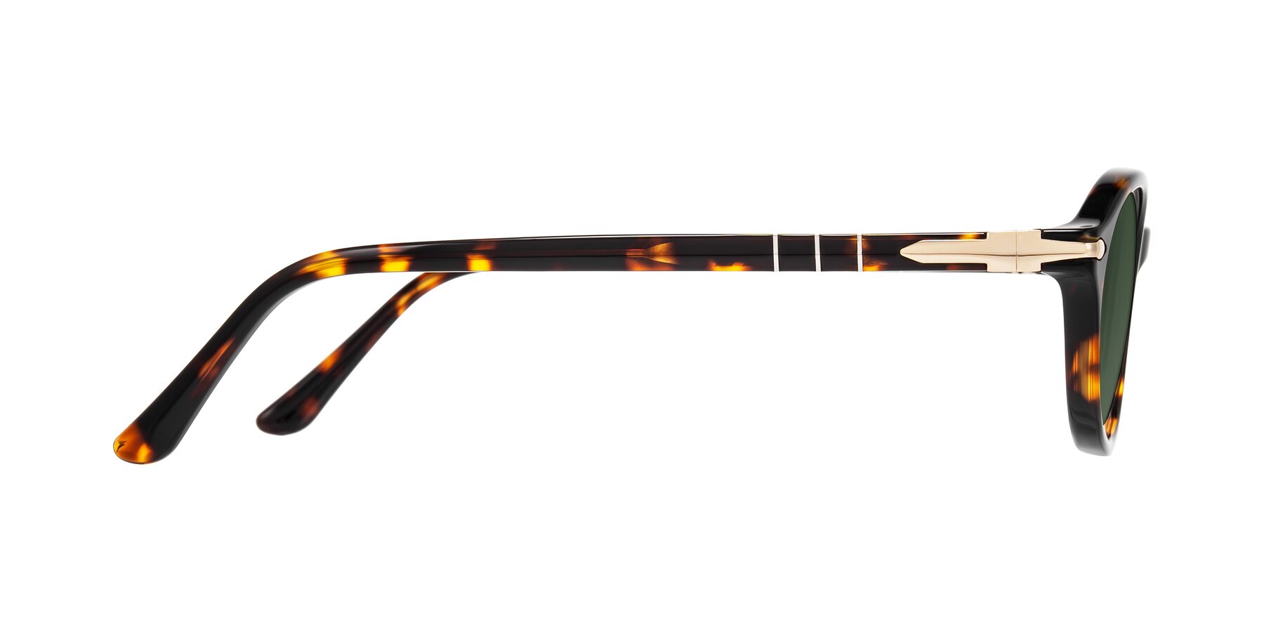 Side of Sidriah in Tortoise with Green Tinted Lenses