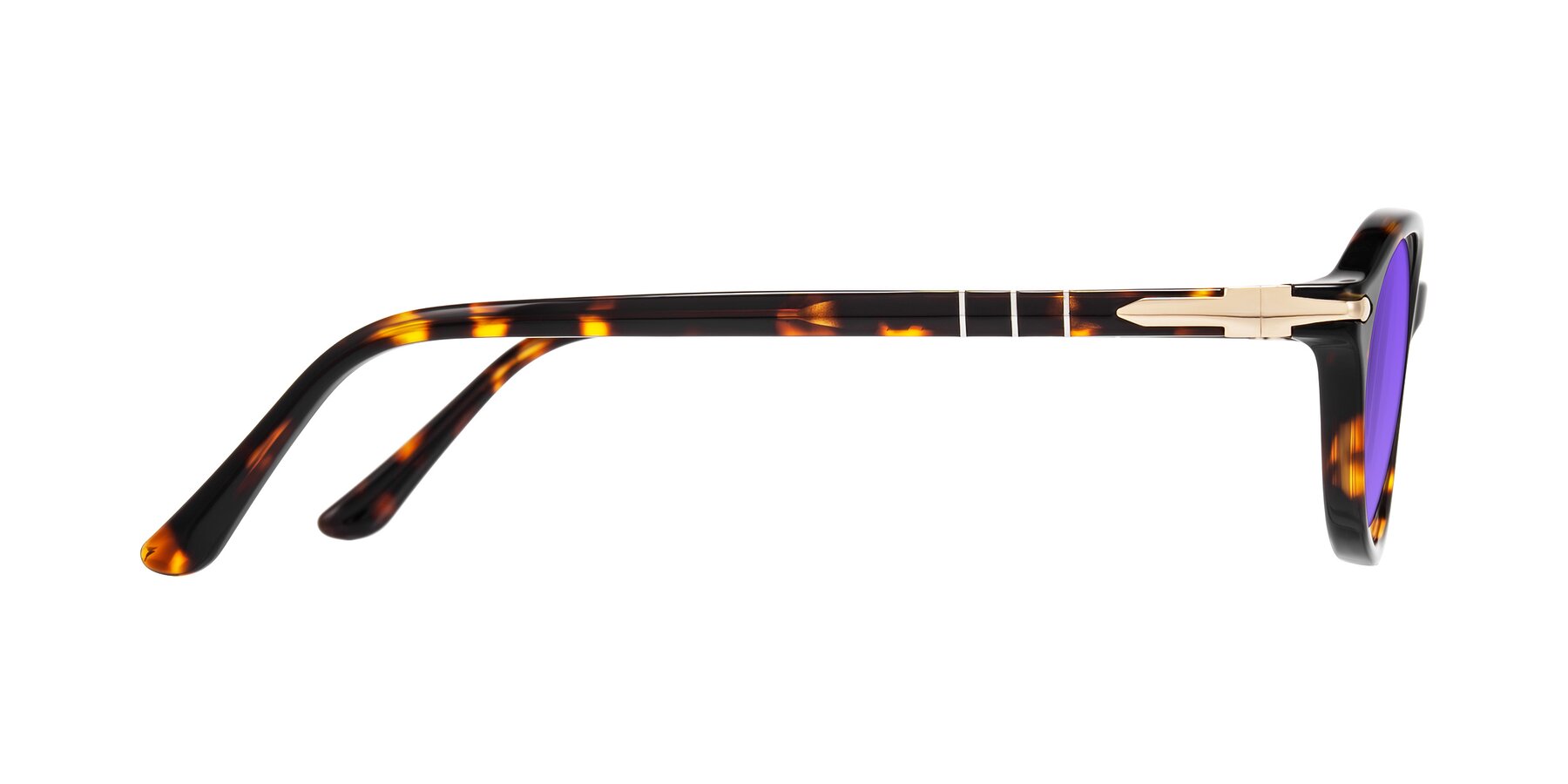 Side of Sidriah in Tortoise with Purple Tinted Lenses