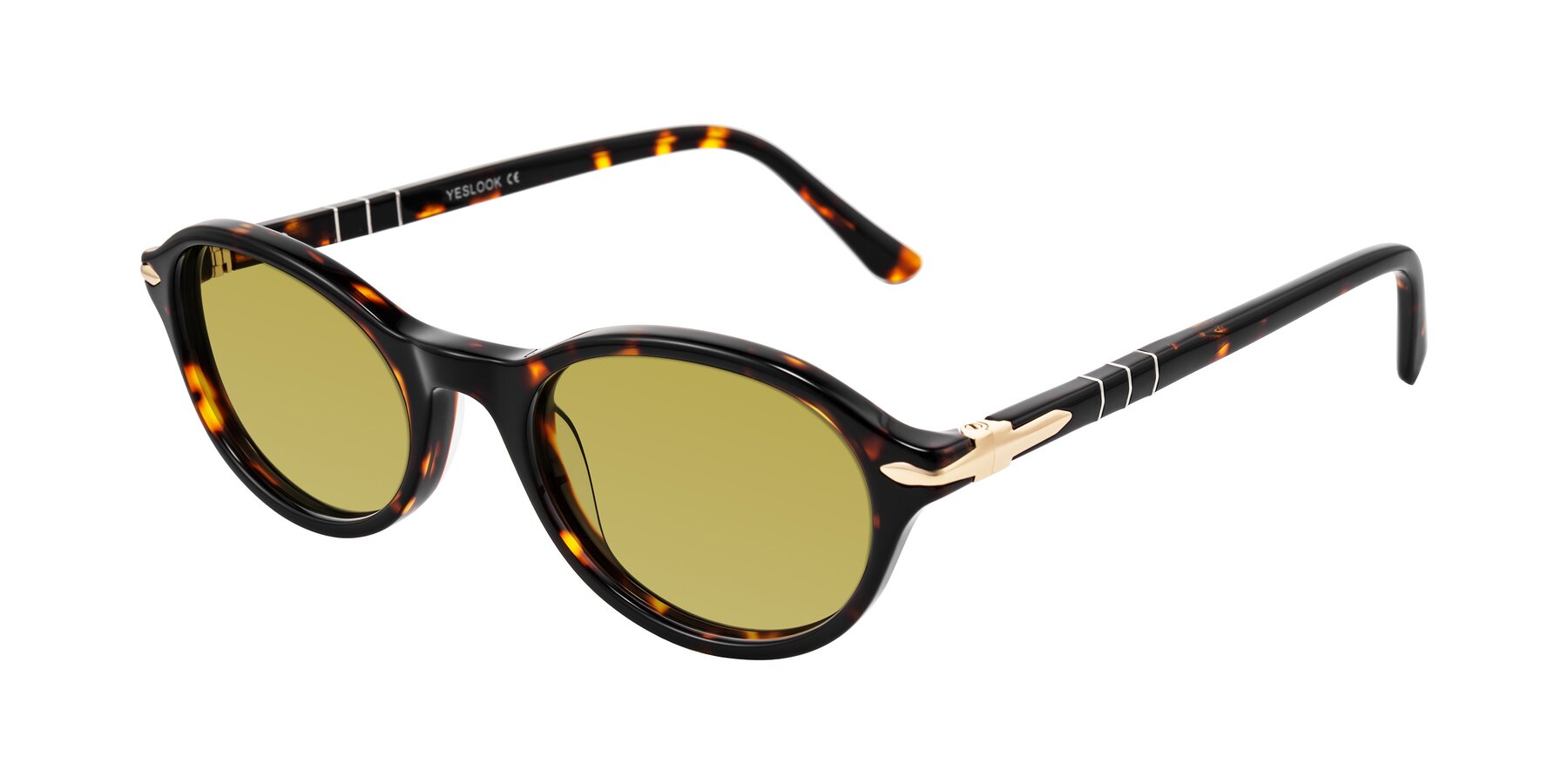 Angle of Sidriah in Tortoise with Champagne Tinted Lenses