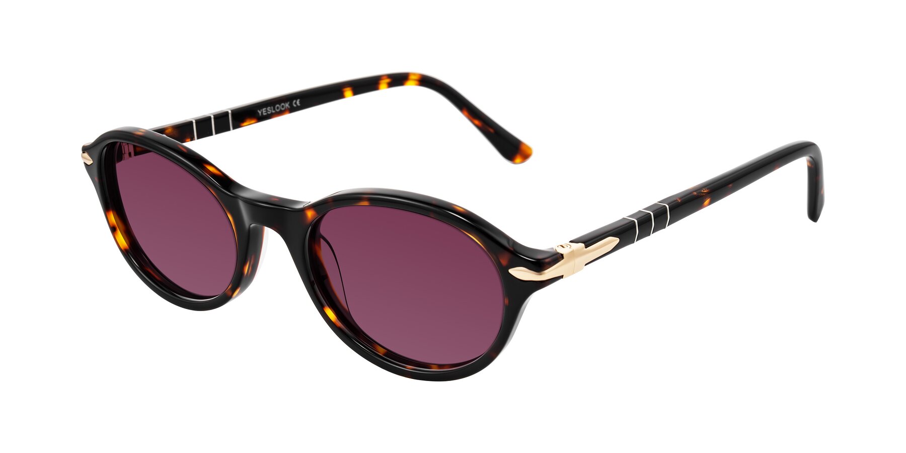 Angle of Sidriah in Tortoise with Wine Tinted Lenses