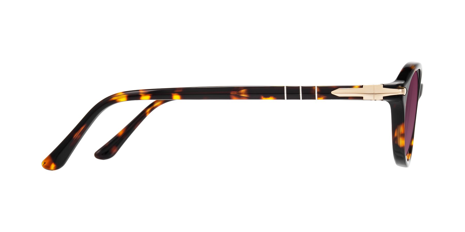 Side of Sidriah in Tortoise with Wine Tinted Lenses