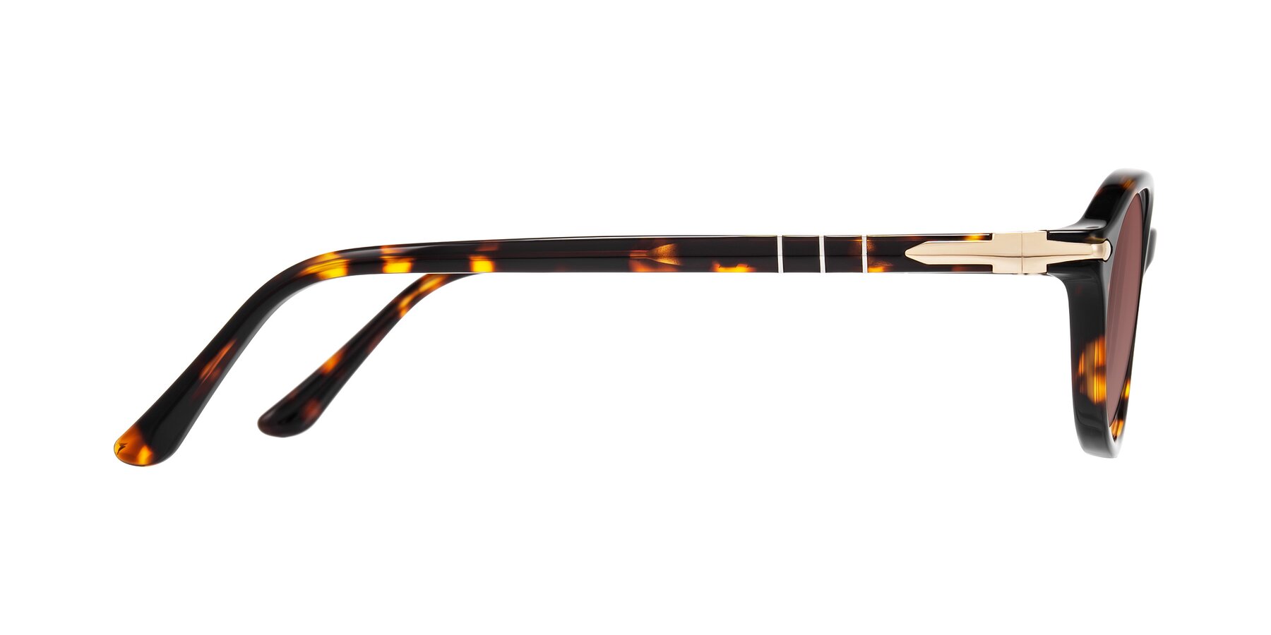 Side of Sidriah in Tortoise with Garnet Tinted Lenses