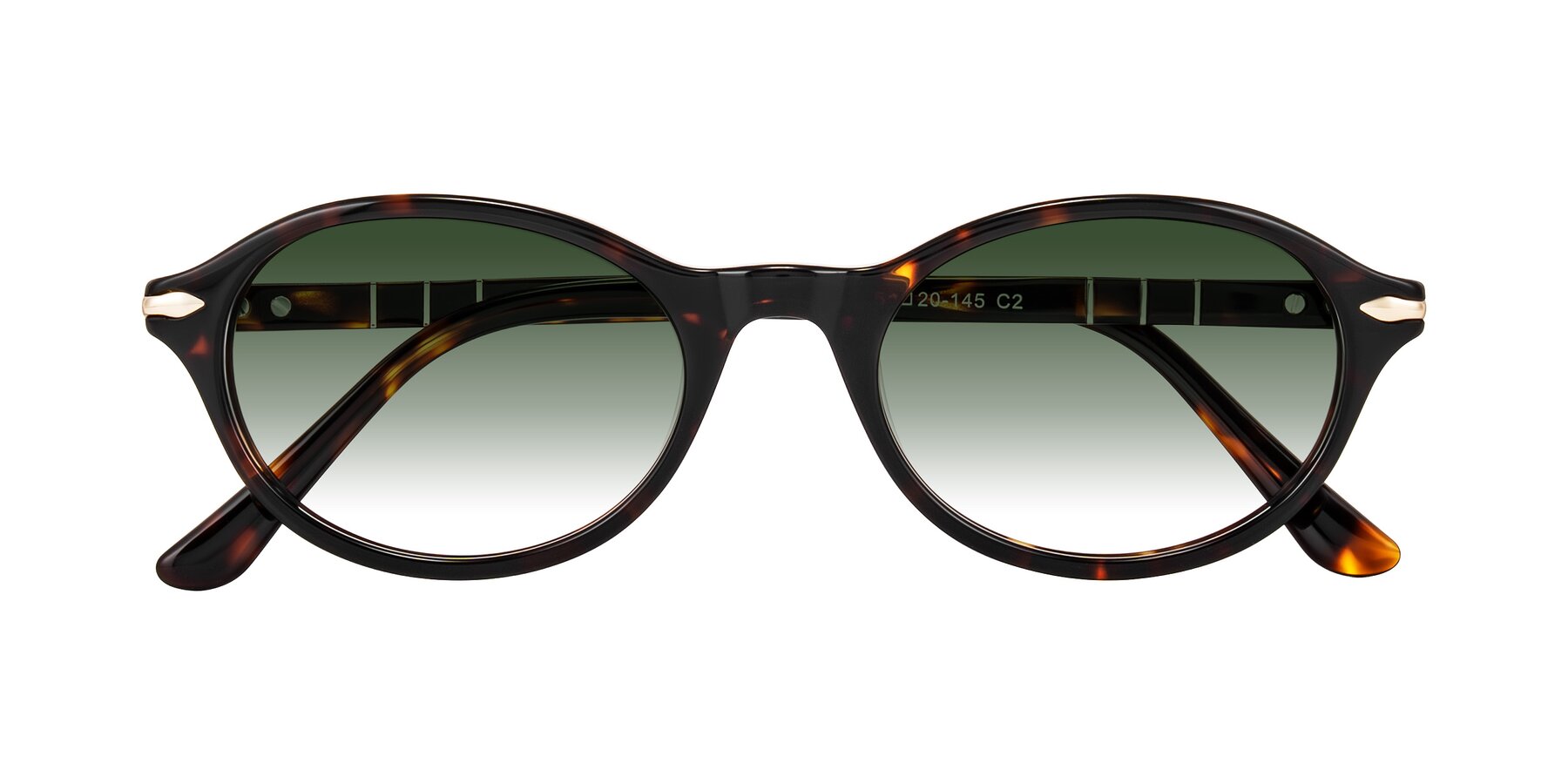 Folded Front of Sidriah in Tortoise with Green Gradient Lenses