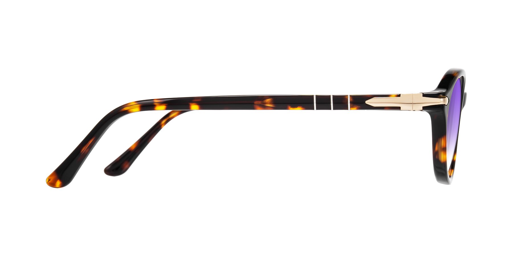 Side of Sidriah in Tortoise with Purple Gradient Lenses