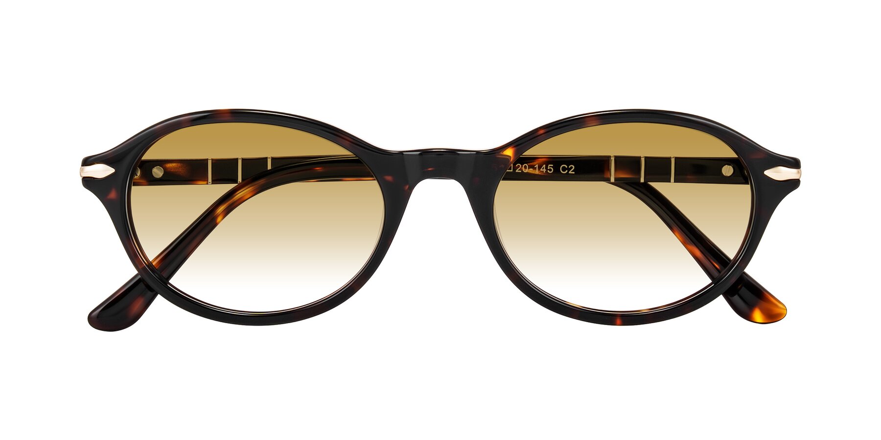 Folded Front of Sidriah in Tortoise with Champagne Gradient Lenses