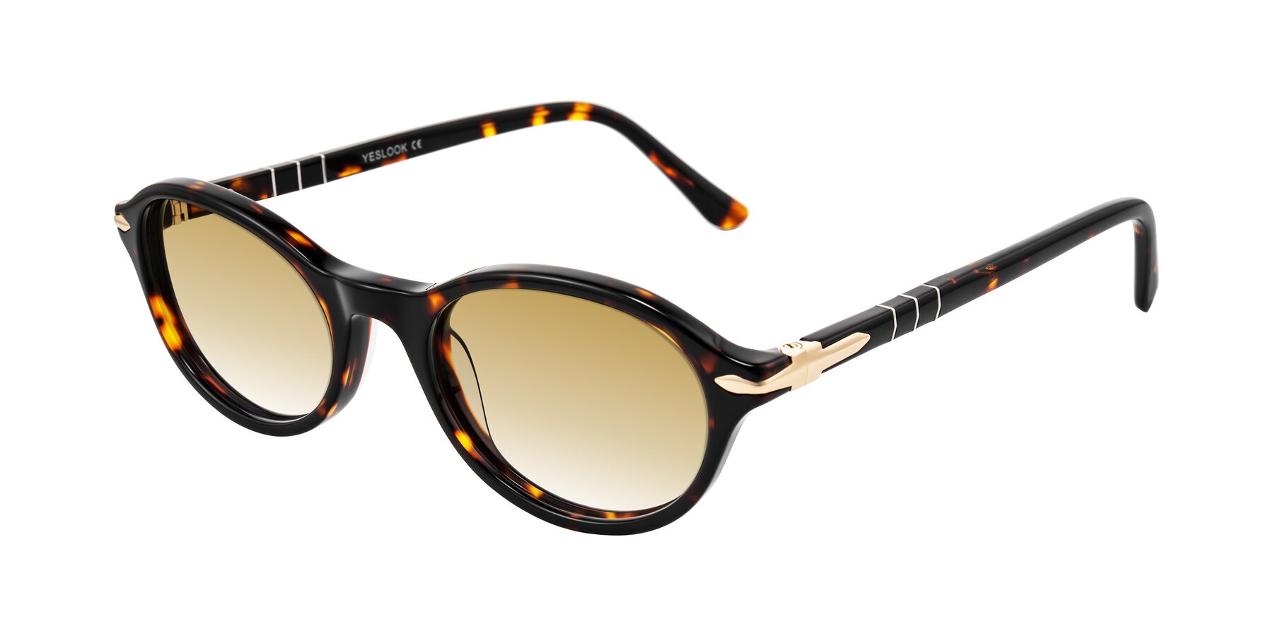 Angle of Sidriah in Tortoise with Champagne Gradient Lenses