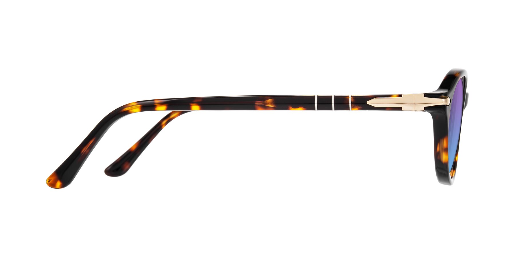 Side of Sidriah in Tortoise with Purple / Blue Gradient Lenses