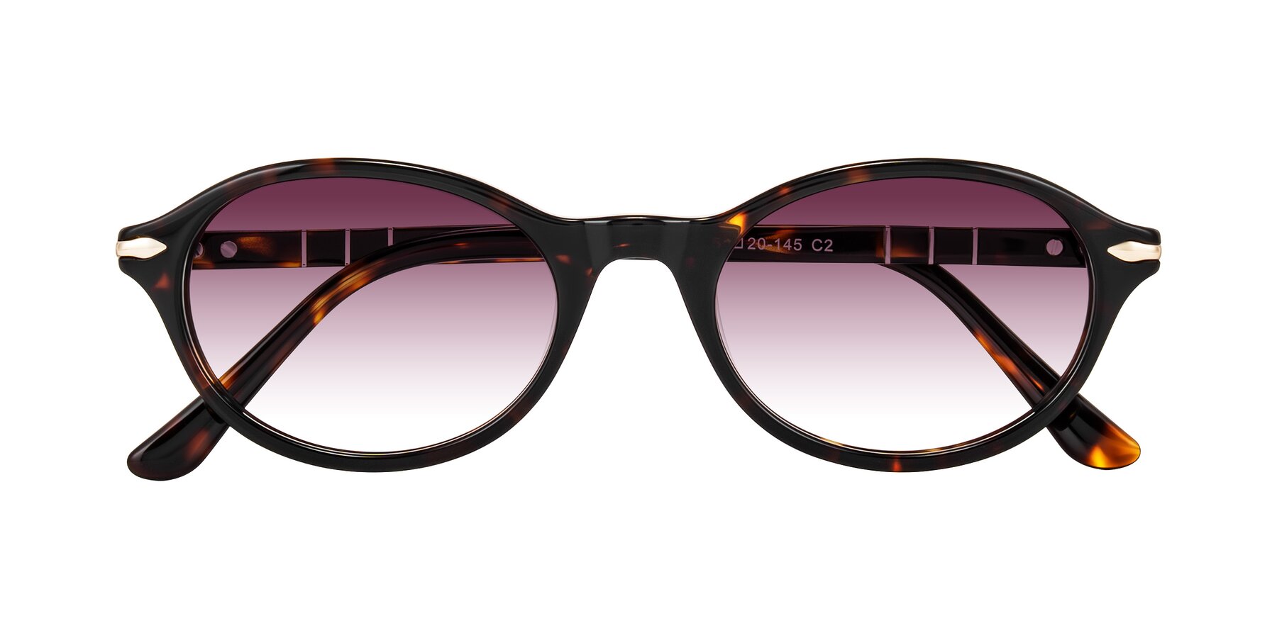 Folded Front of Sidriah in Tortoise with Wine Gradient Lenses