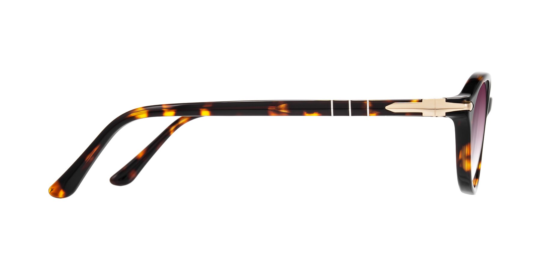 Side of Sidriah in Tortoise with Wine Gradient Lenses