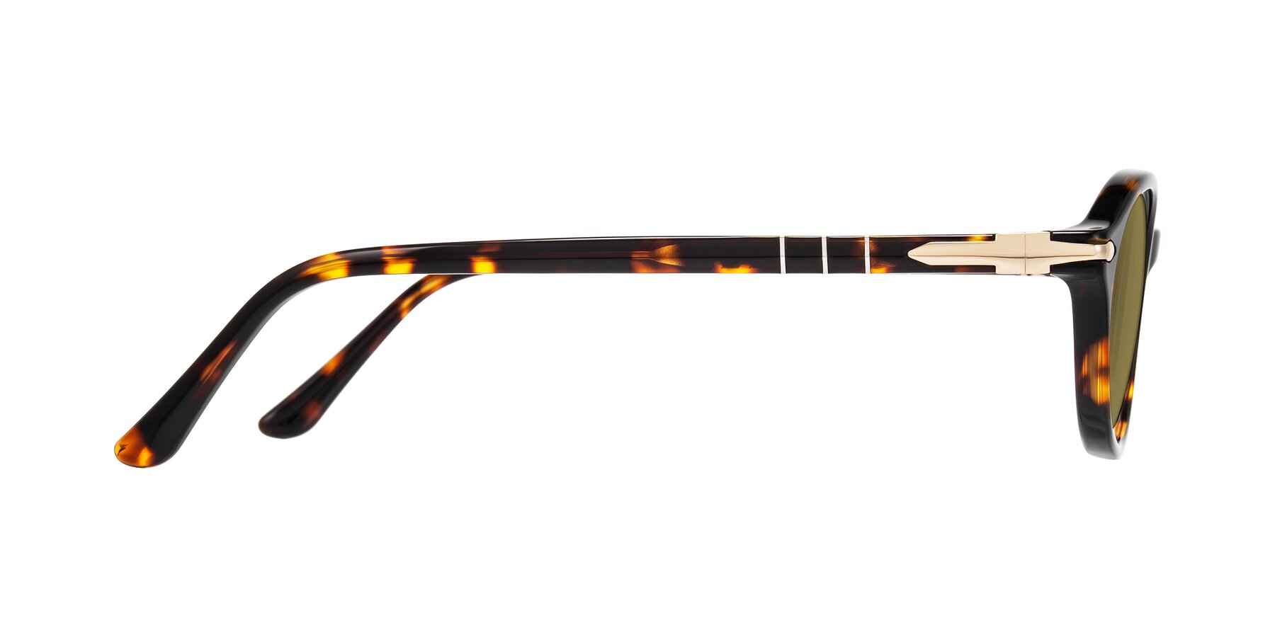 Side of Sidriah in Tortoise with Brown Polarized Lenses