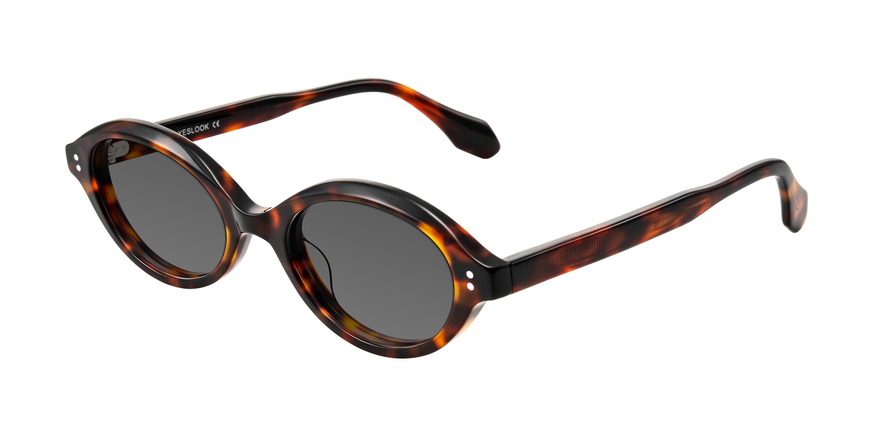 Angle of Prythian in Tortoise with Medium Gray Tinted Lenses