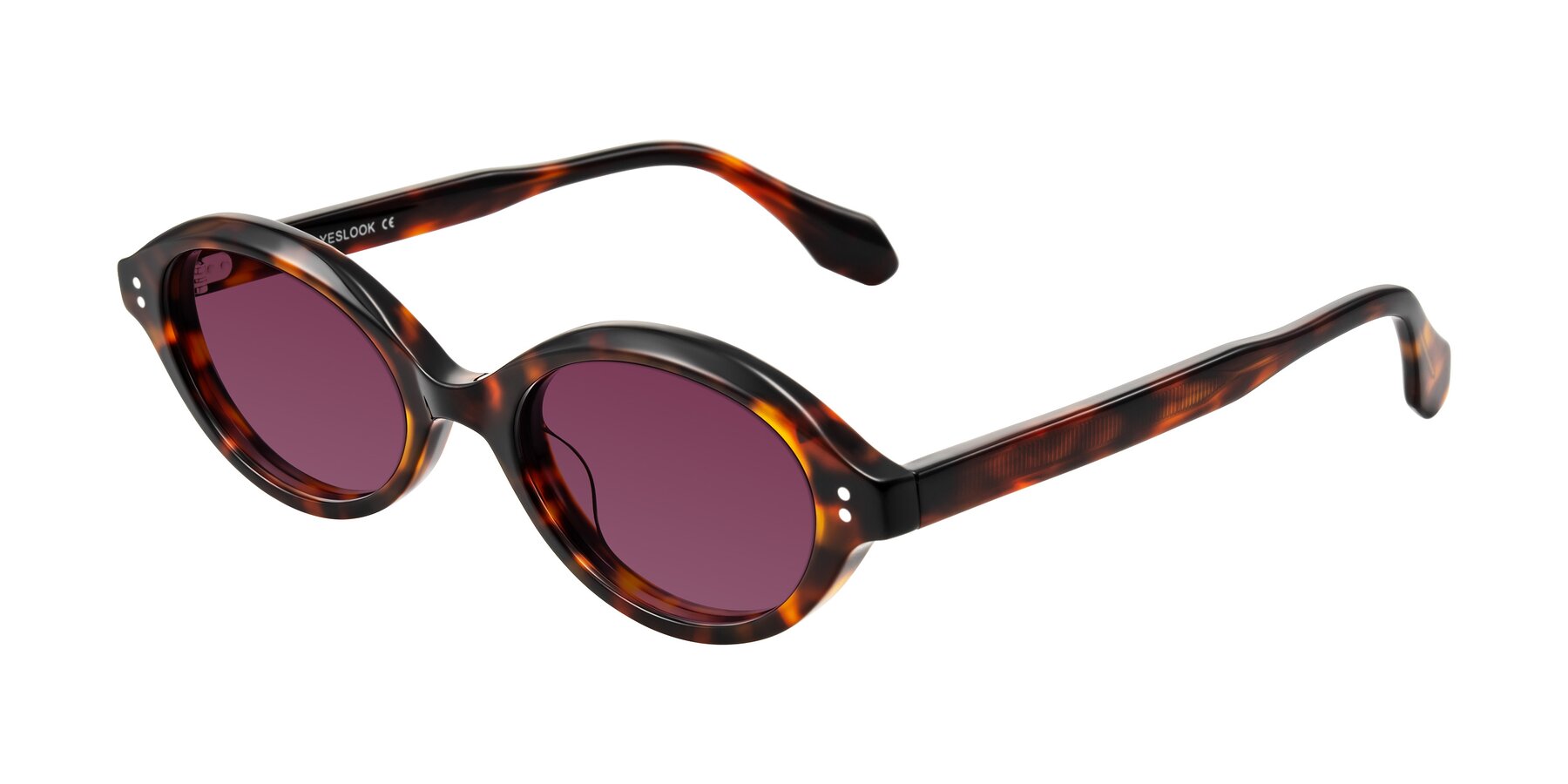Angle of Prythian in Tortoise with Wine Tinted Lenses