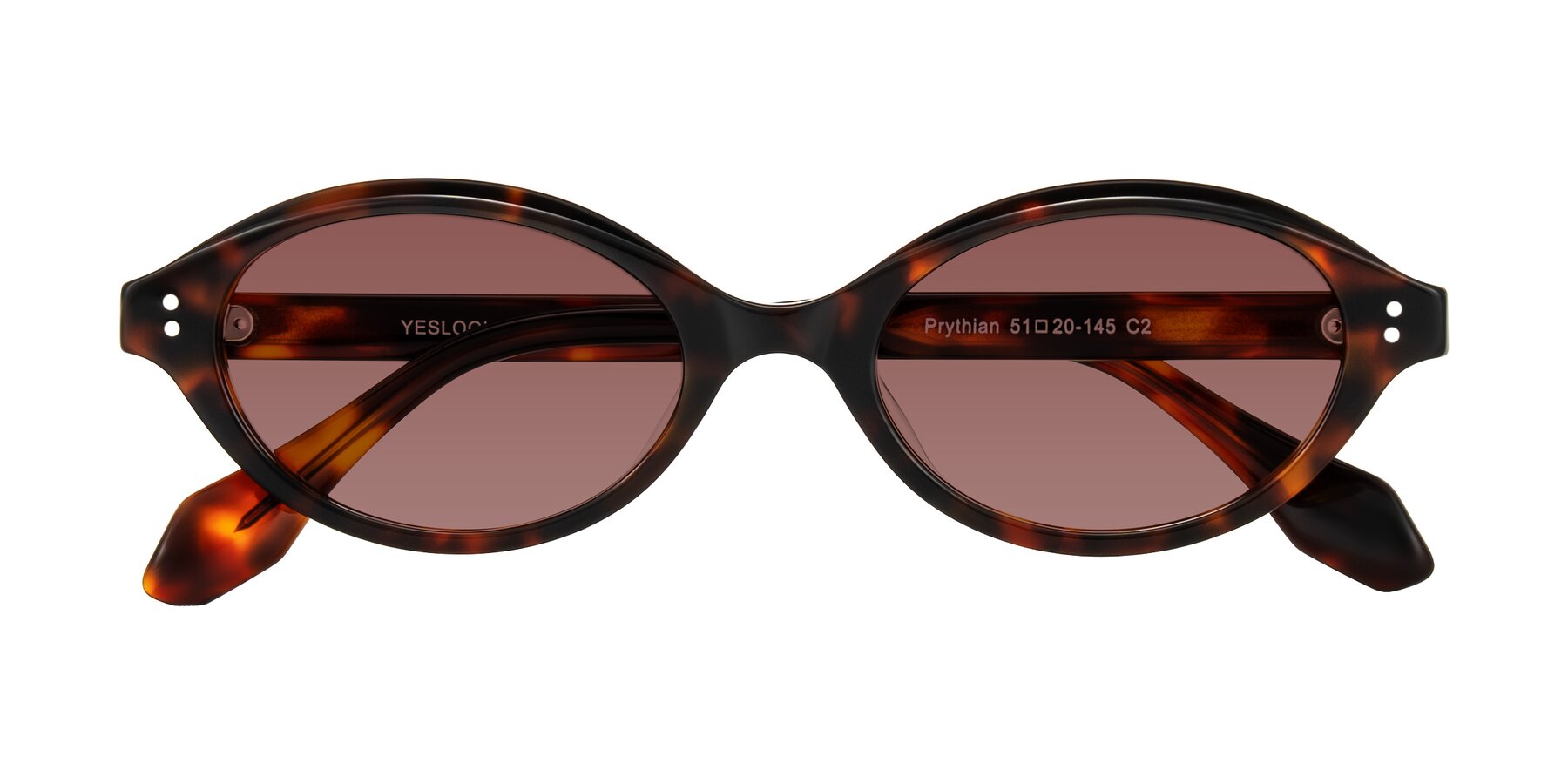 Folded Front of Prythian in Tortoise with Garnet Tinted Lenses