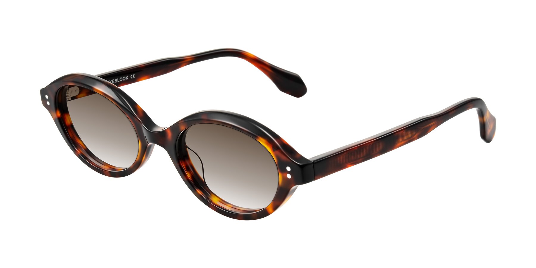 Angle of Prythian in Tortoise with Brown Gradient Lenses