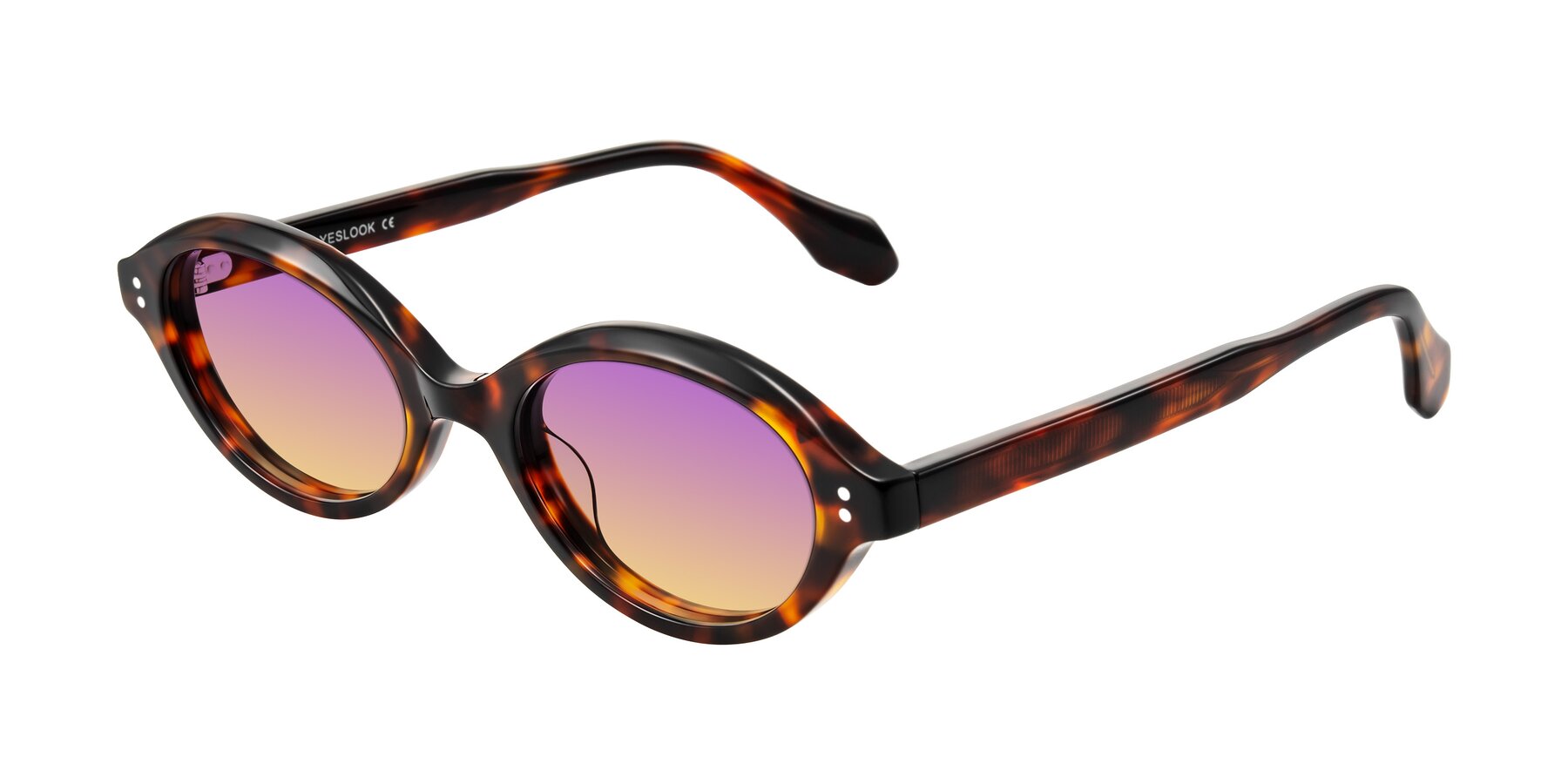 Angle of Prythian in Tortoise with Purple / Yellow Gradient Lenses