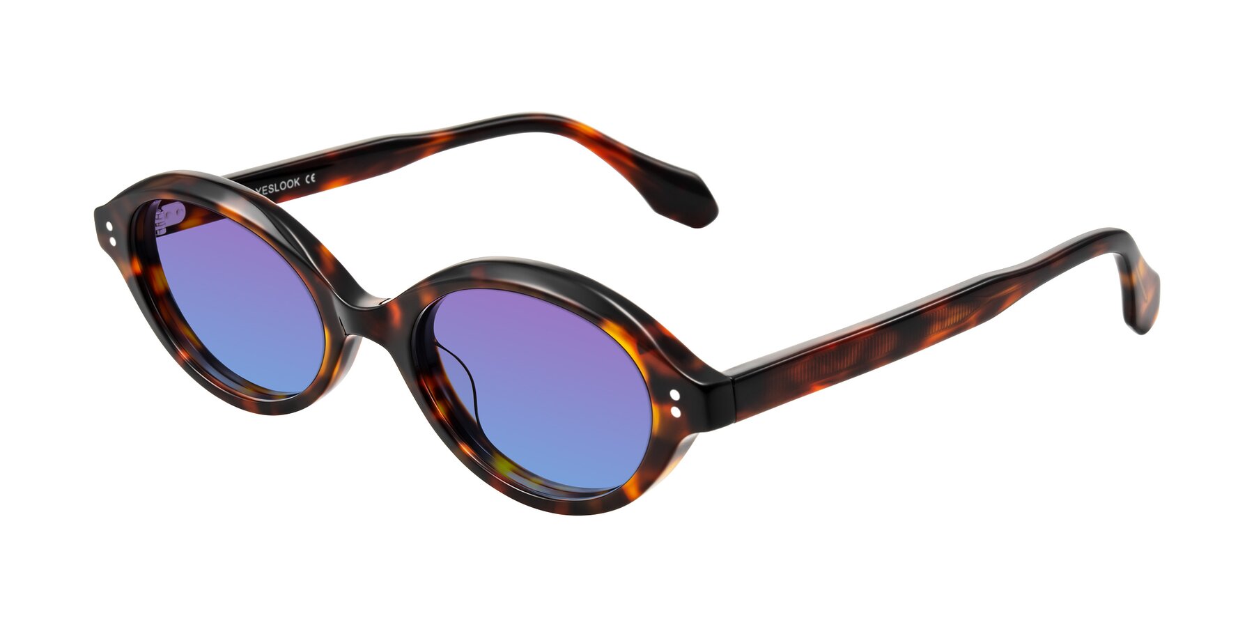 Angle of Prythian in Tortoise with Purple / Blue Gradient Lenses