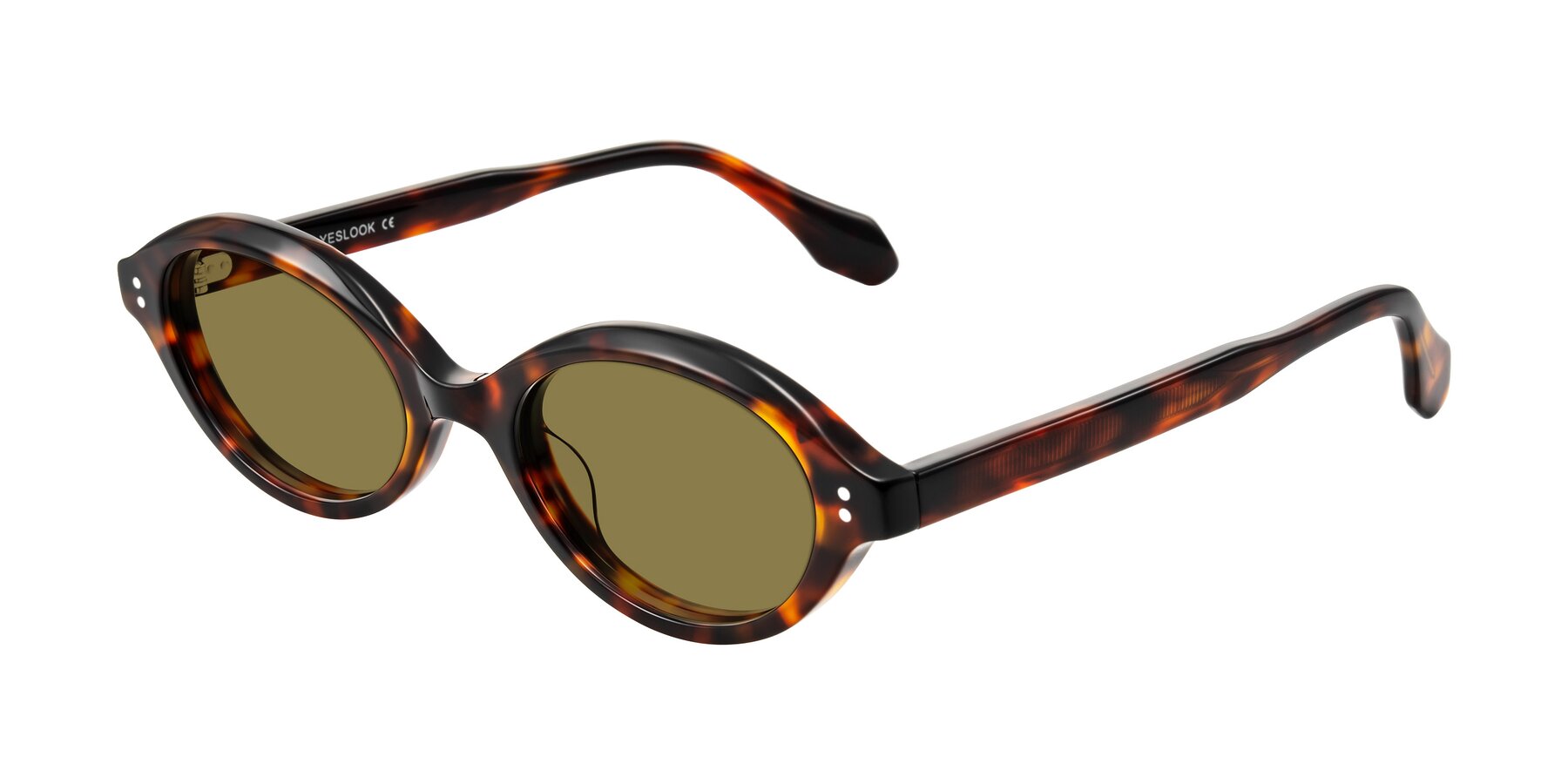 Angle of Prythian in Tortoise with Brown Polarized Lenses