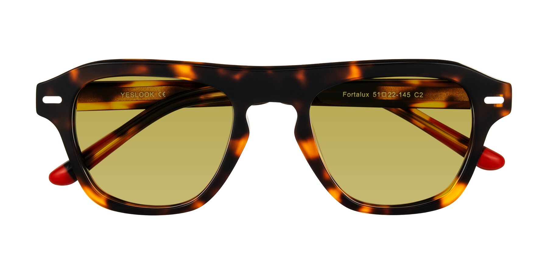 Folded Front of Fortalux in Tortoise with Champagne Tinted Lenses
