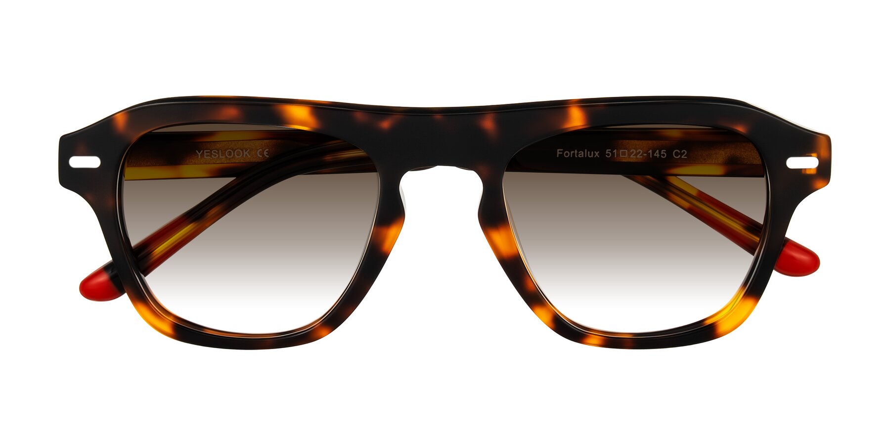 Folded Front of Fortalux in Tortoise with Brown Gradient Lenses