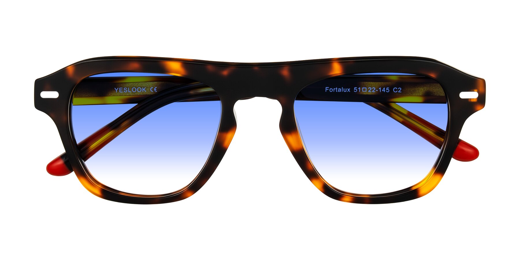 Folded Front of Fortalux in Tortoise with Blue Gradient Lenses