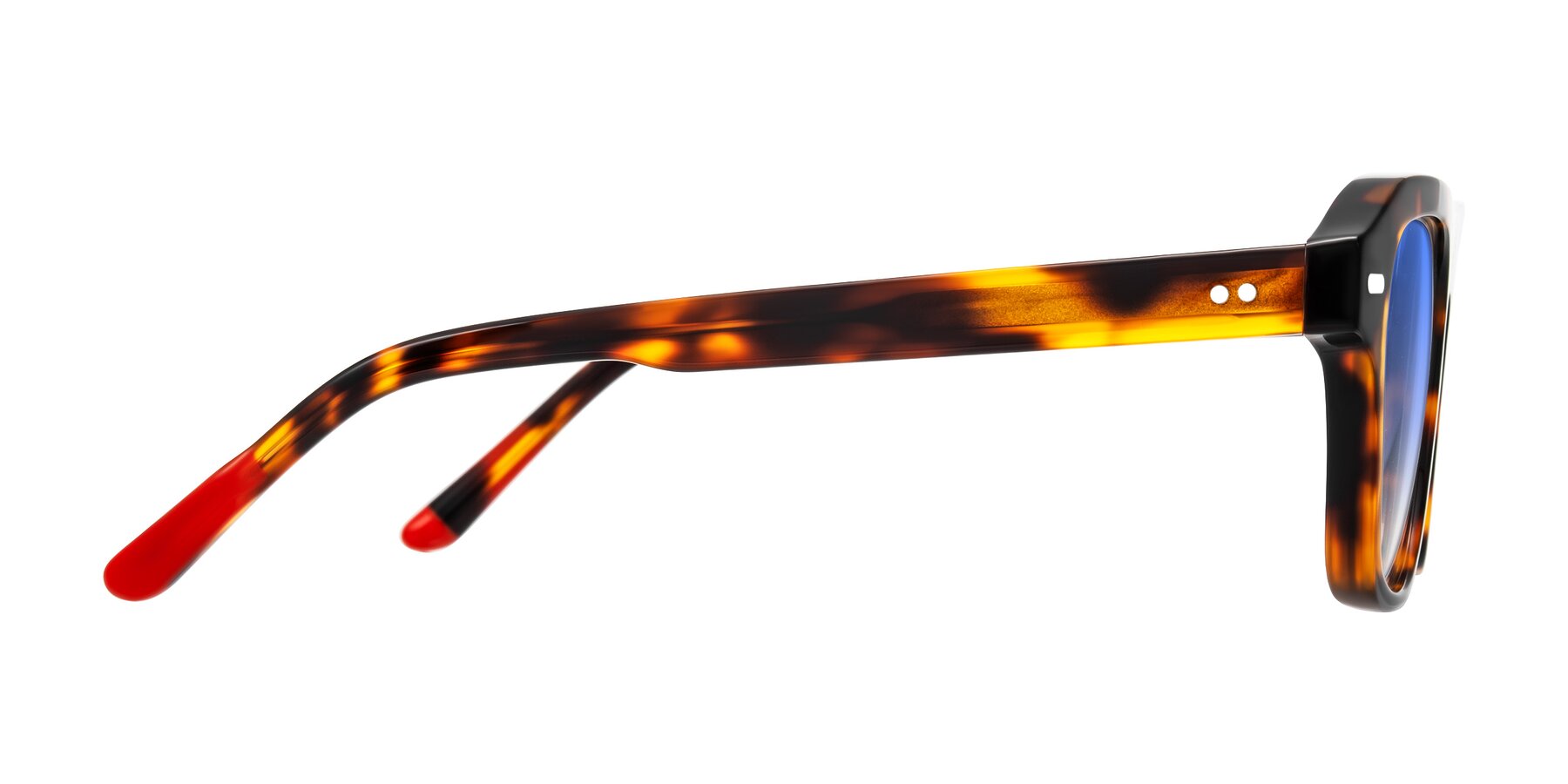 Side of Fortalux in Tortoise with Blue Gradient Lenses
