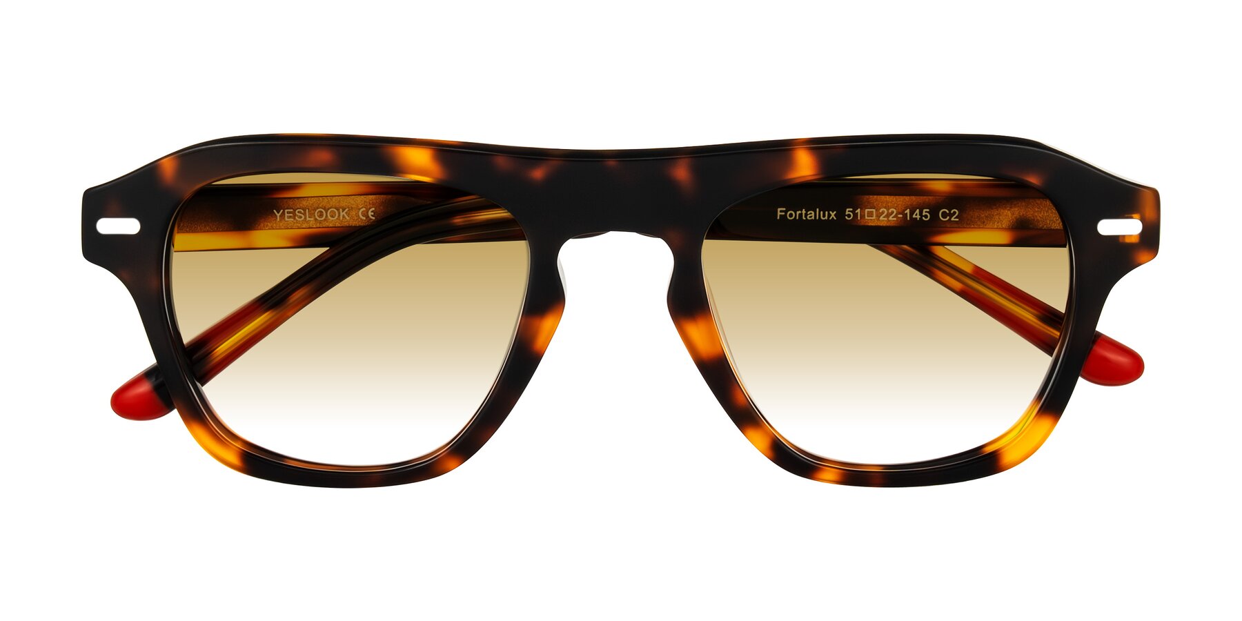 Folded Front of Fortalux in Tortoise with Champagne Gradient Lenses