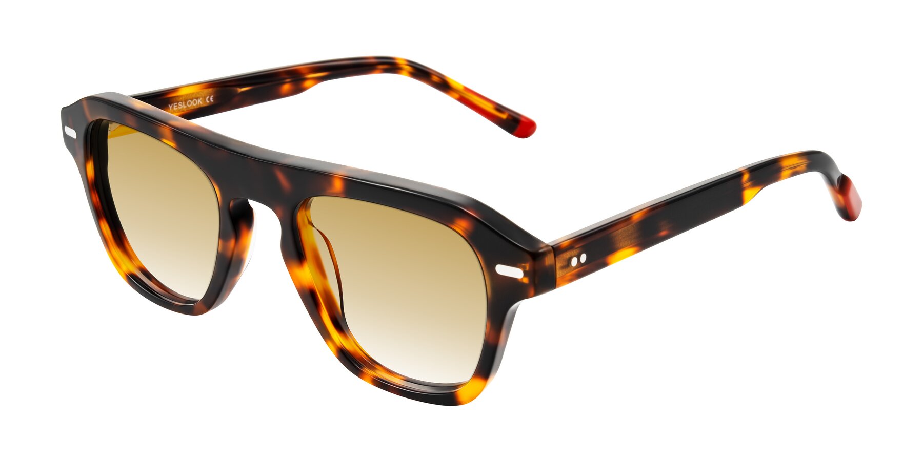 Angle of Fortalux in Tortoise with Champagne Gradient Lenses