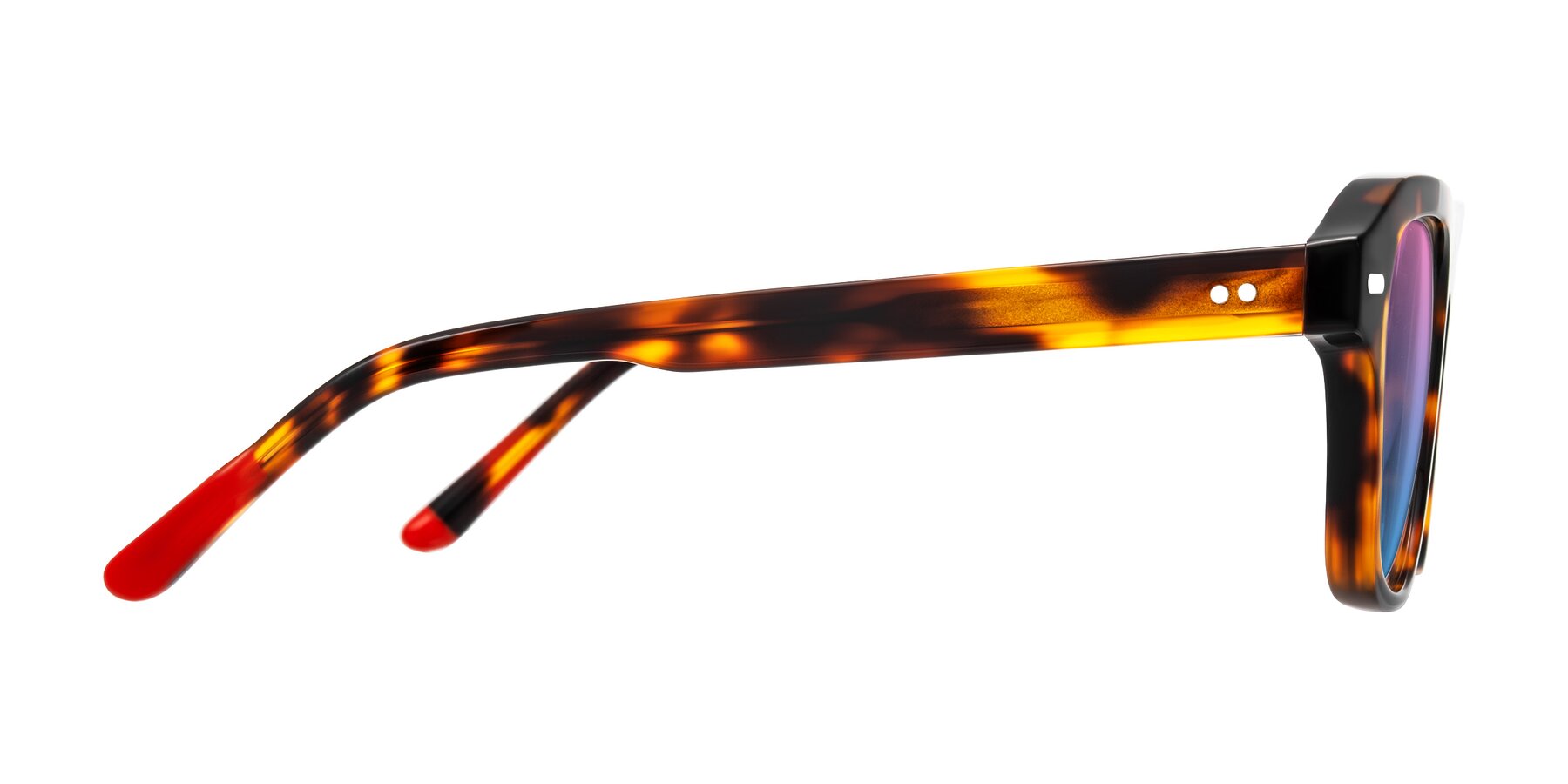 Side of Fortalux in Tortoise with Pink / Blue Gradient Lenses