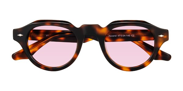 Front of Ascend in Tortoise