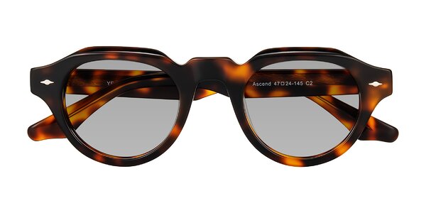 Front of Ascend in Tortoise