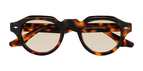 Front of Ascend in Tortoise