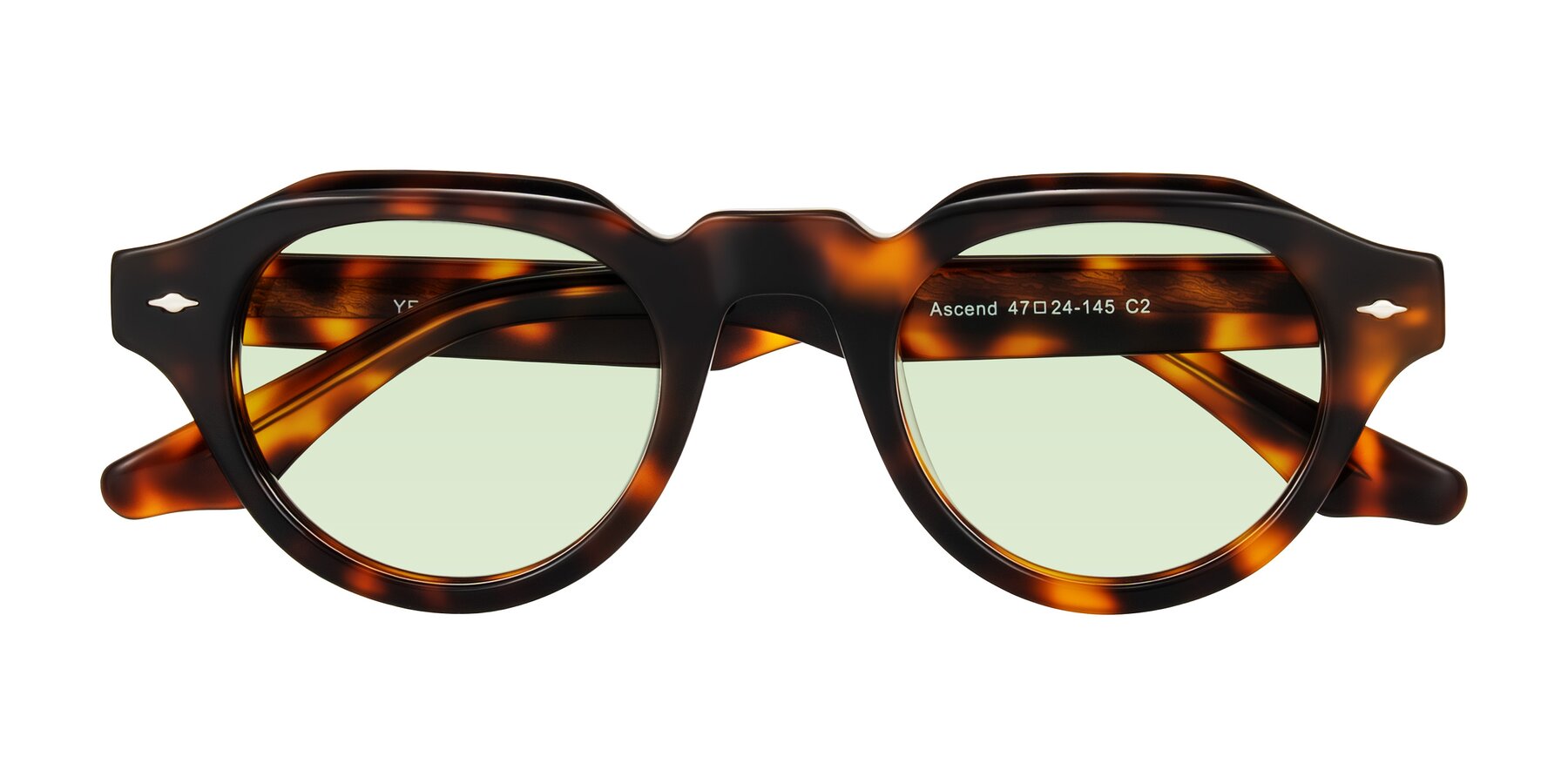Folded Front of Ascend in Tortoise with Light Green Tinted Lenses